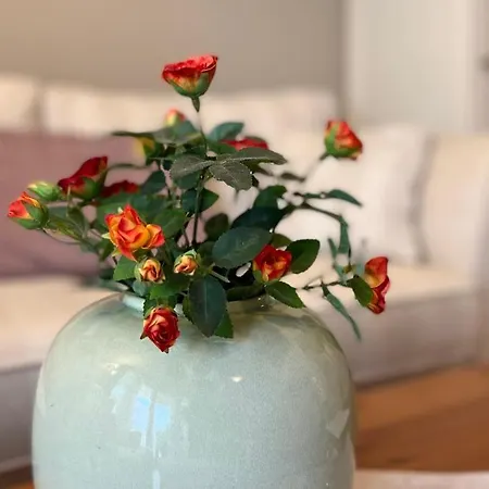 Ferienwohnung Sonnenblume Baabe